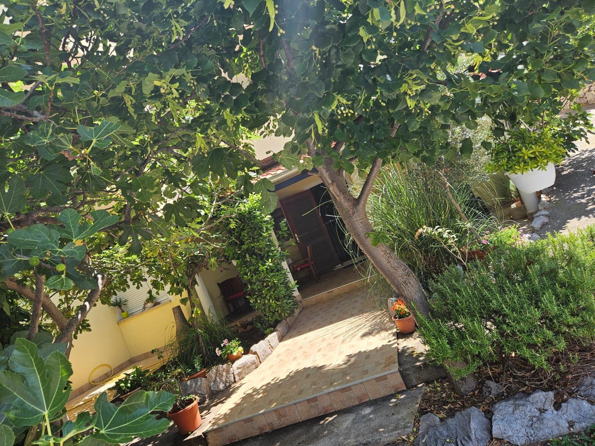 Apartmani Sanja Klenovica Exterior foto