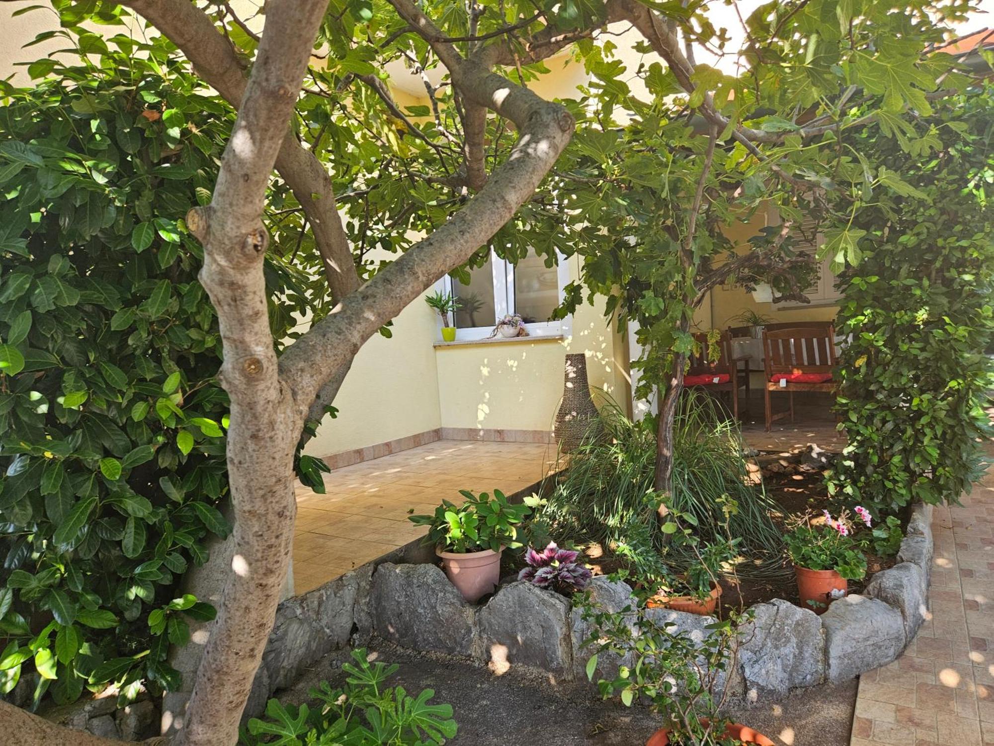 Apartmani Sanja Klenovica Exterior foto